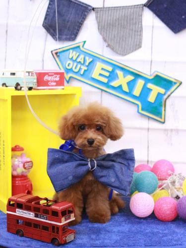 20230401モコちゃん